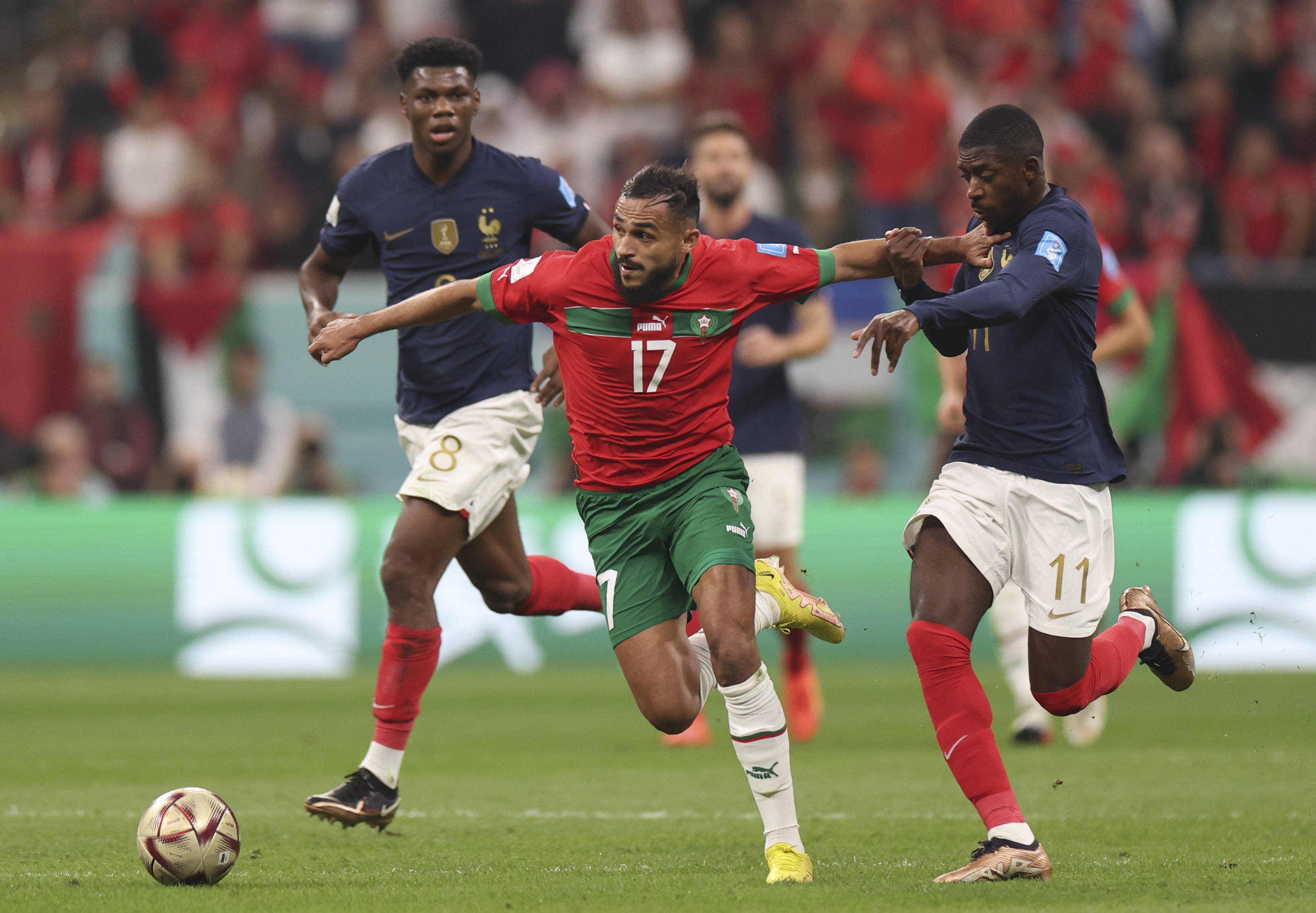 绿色和蓝色 绿色和蓝色