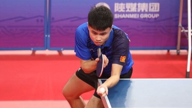 翅翱翔的球 翅翱翔的球