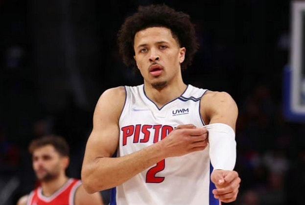 不仅提升了 不仅提升了